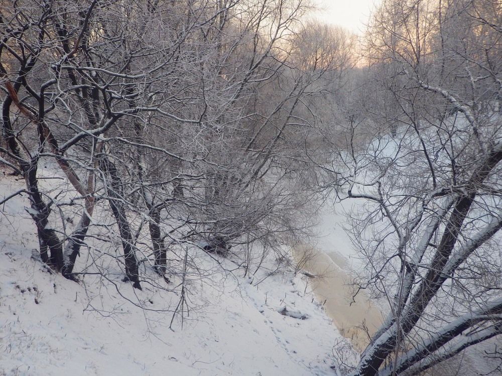 Photograph by БЕРТЕЛЬС ВАСИЛИЙ