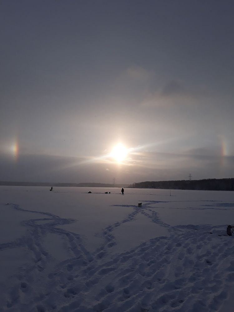 Photo #7156745
