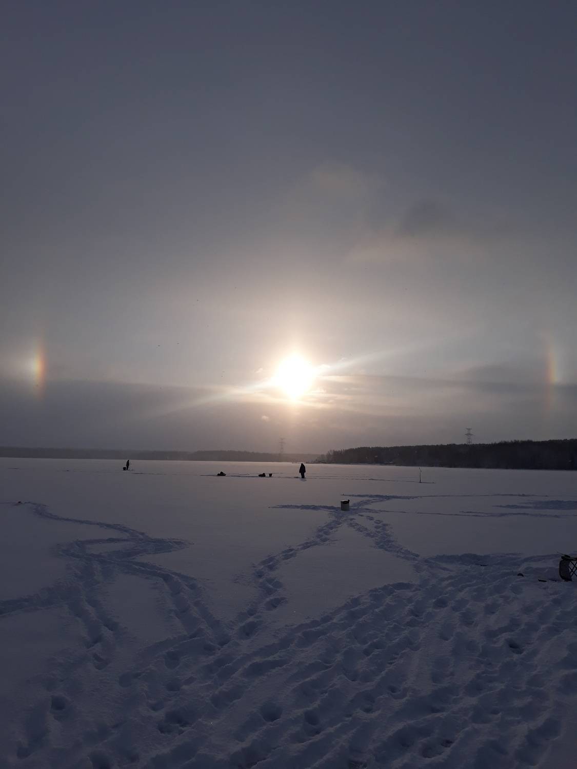 Photo #7156745