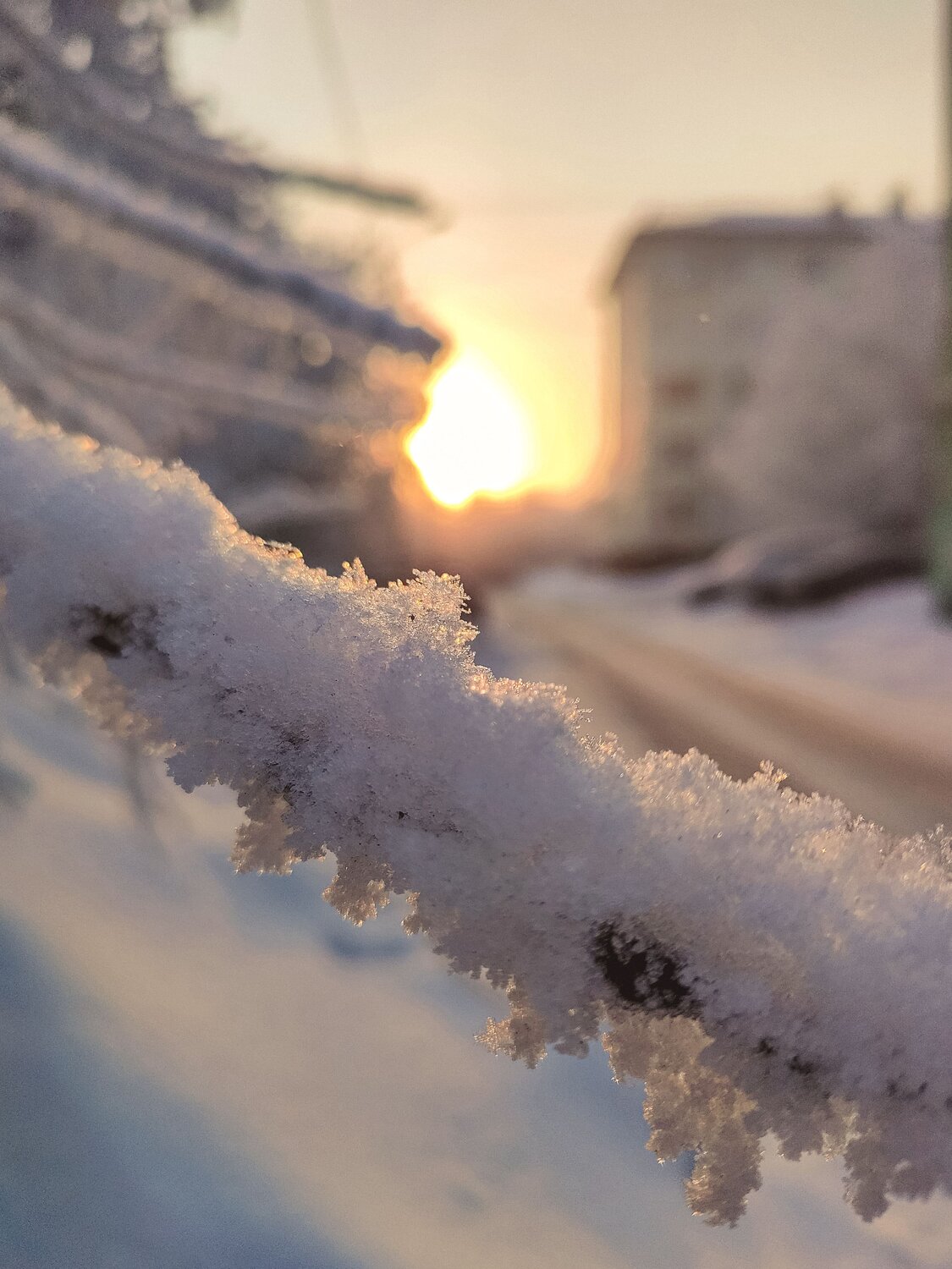 Photo #7156764
