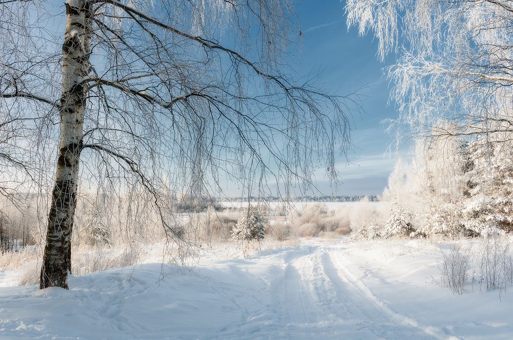 Photograph by Елена Потемина