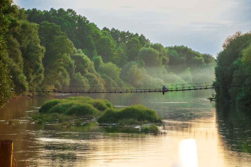 Фотография автора Oleg Podlesnykh