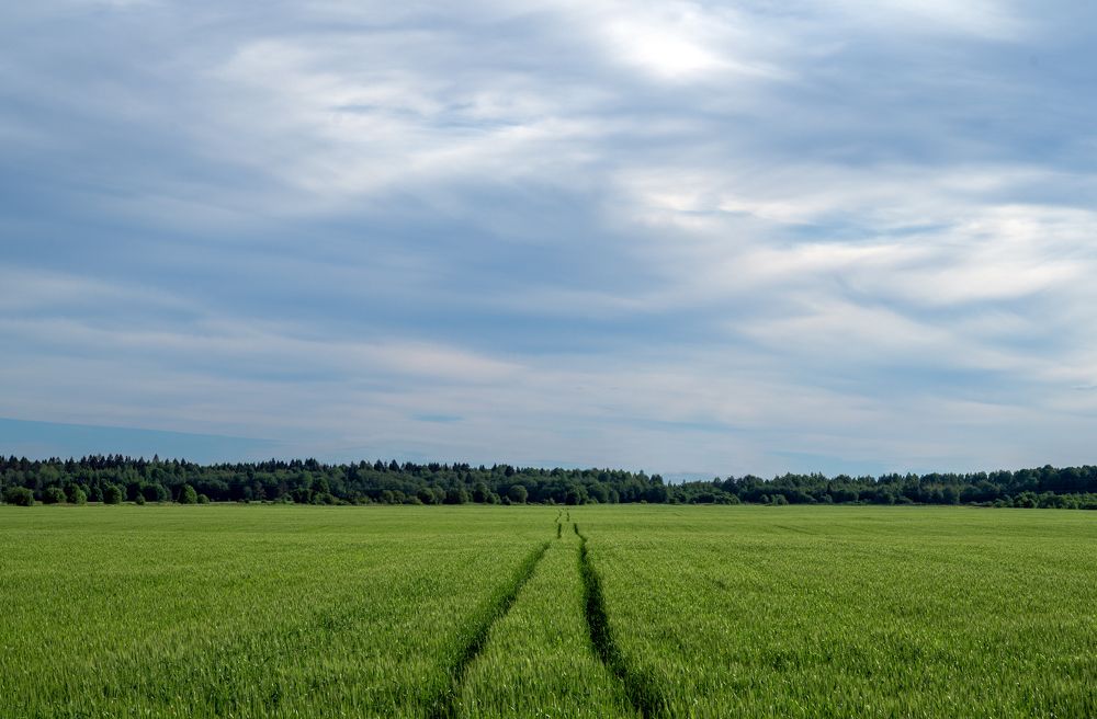 Photograph by Артур Салахутдинов
