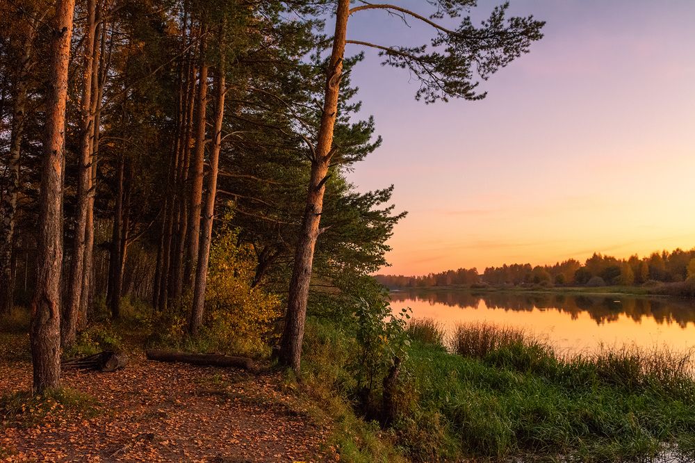 Photograph by Елена Потемина