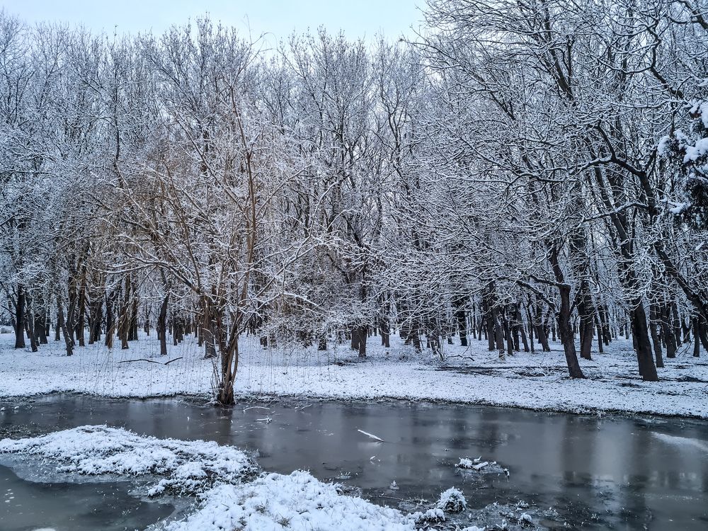 Photograph by Лариса Когтева