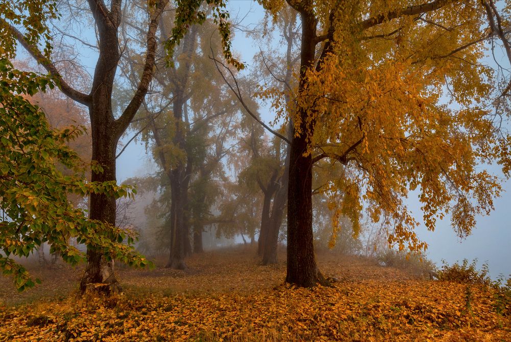 Photograph by Валентин Кузьмин