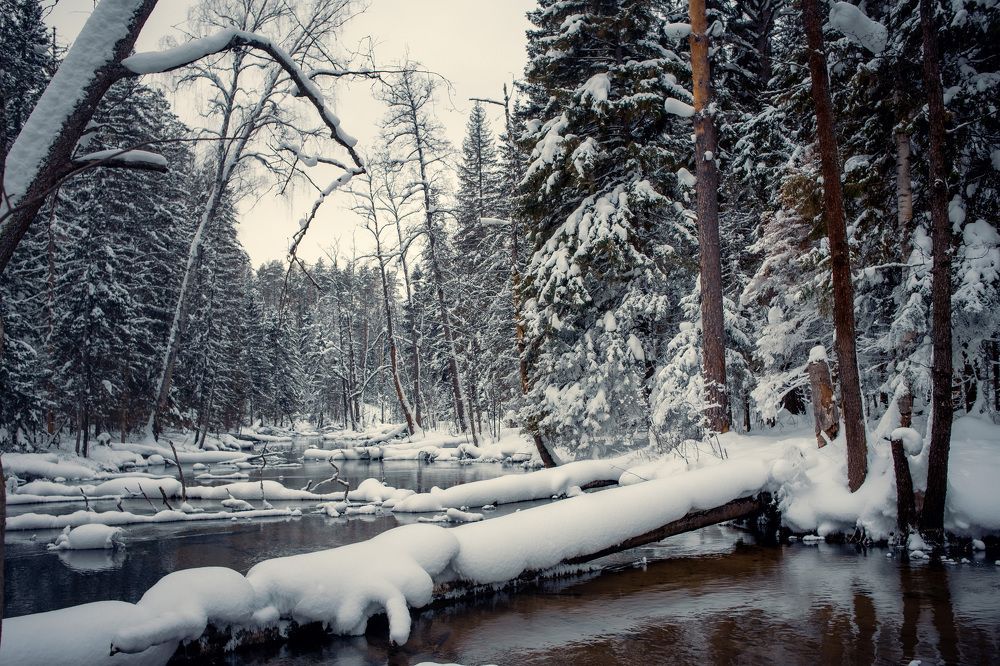 Photograph by Сергей Забиякин