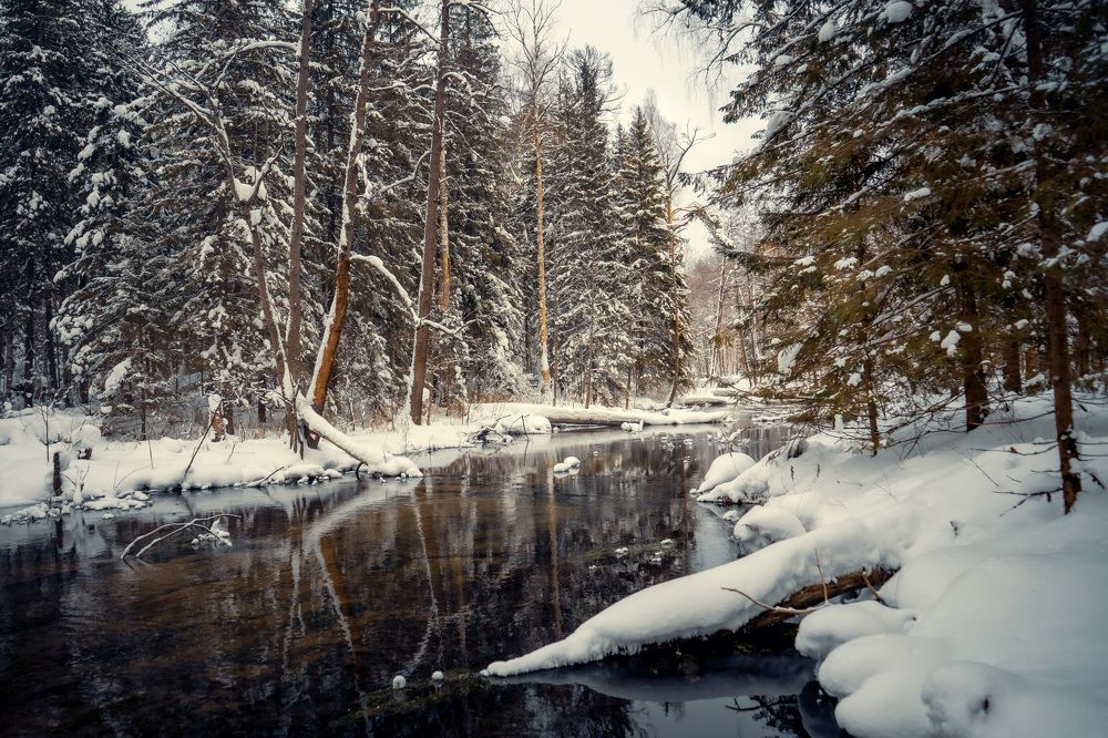 Photograph by Сергей Забиякин