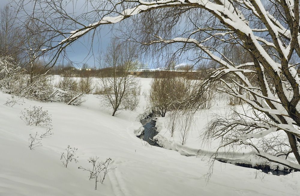 Photograph by Надежда Васильева
