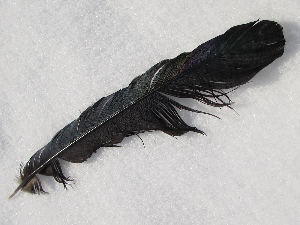 Photograph by Екатерина Лобанова