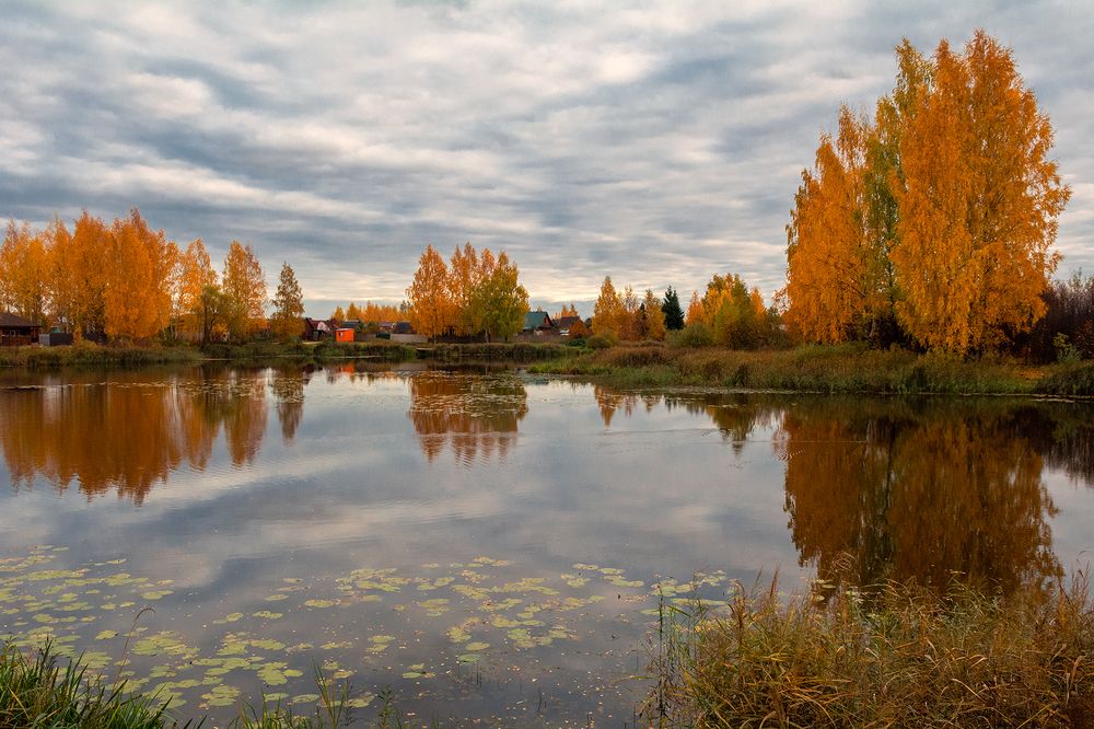 Photograph by Елена Потемина