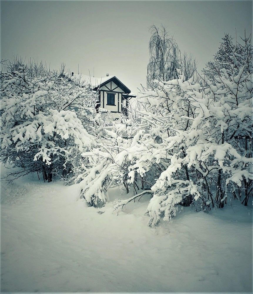 начало января