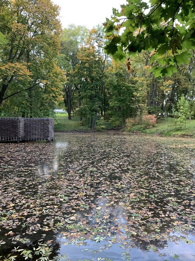 Photograph by Марина