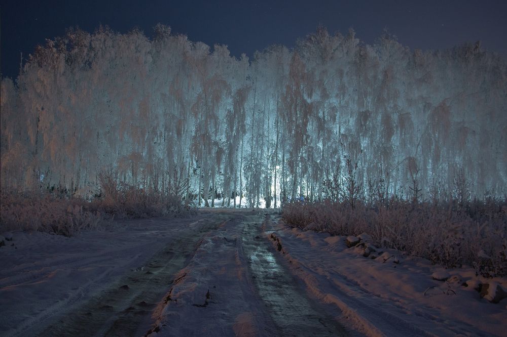 Photograph by Ксения Глубокова