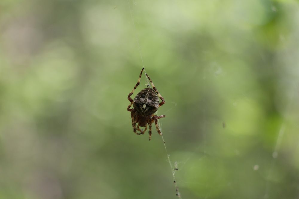 Photograph by Ксения Глубокова