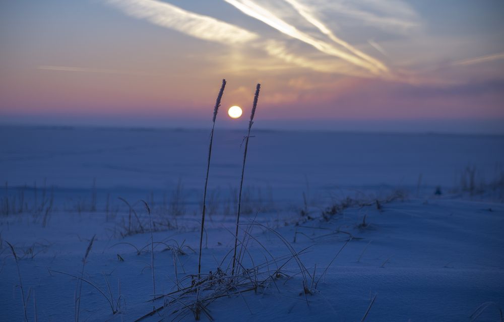 Photograph by Светлана Чижова