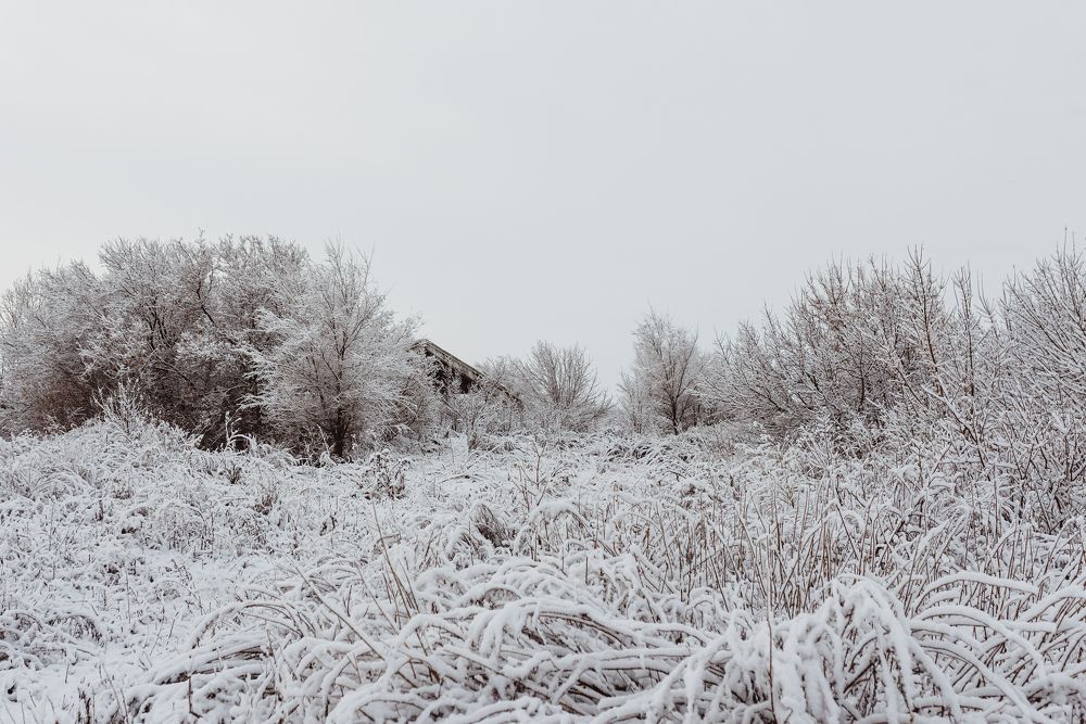 Photograph by Ирина Назарова