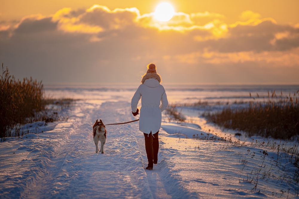 Photograph by Светлана Чижова