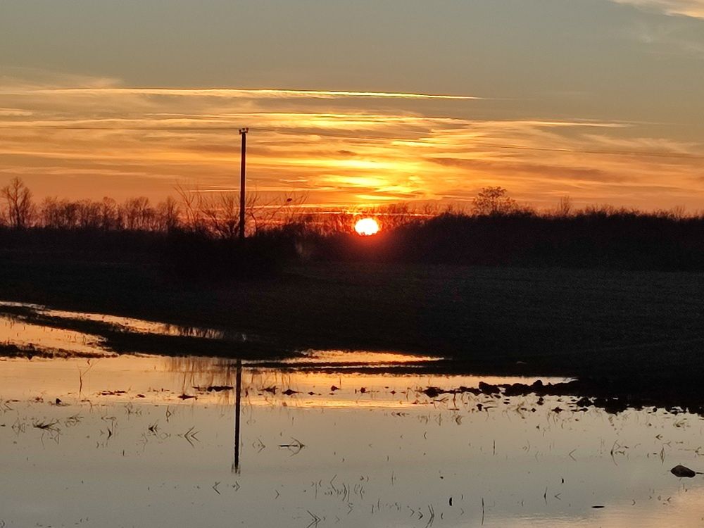 Photograph by Ljiljana Nedeljković