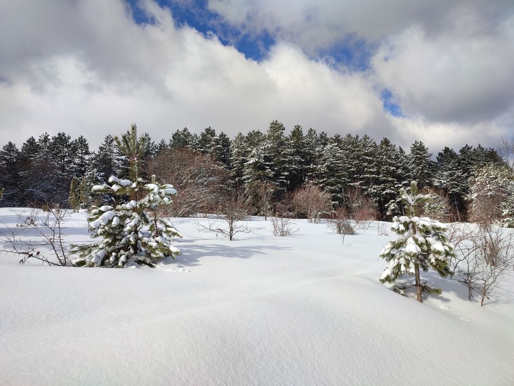 Photograph by Ljiljana Nedeljković