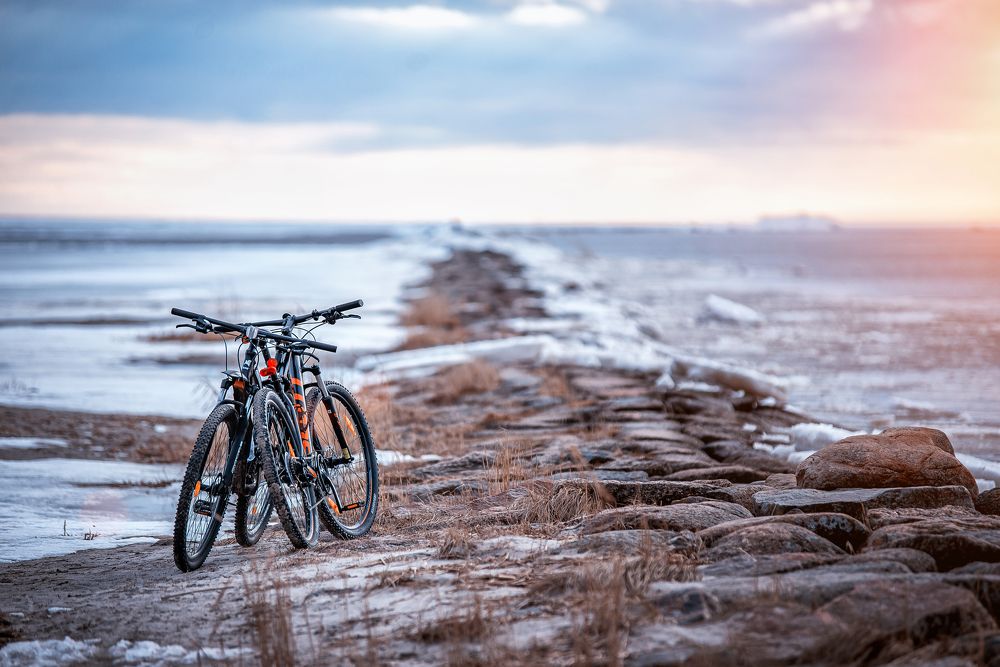 Photograph by Светлана Чижова