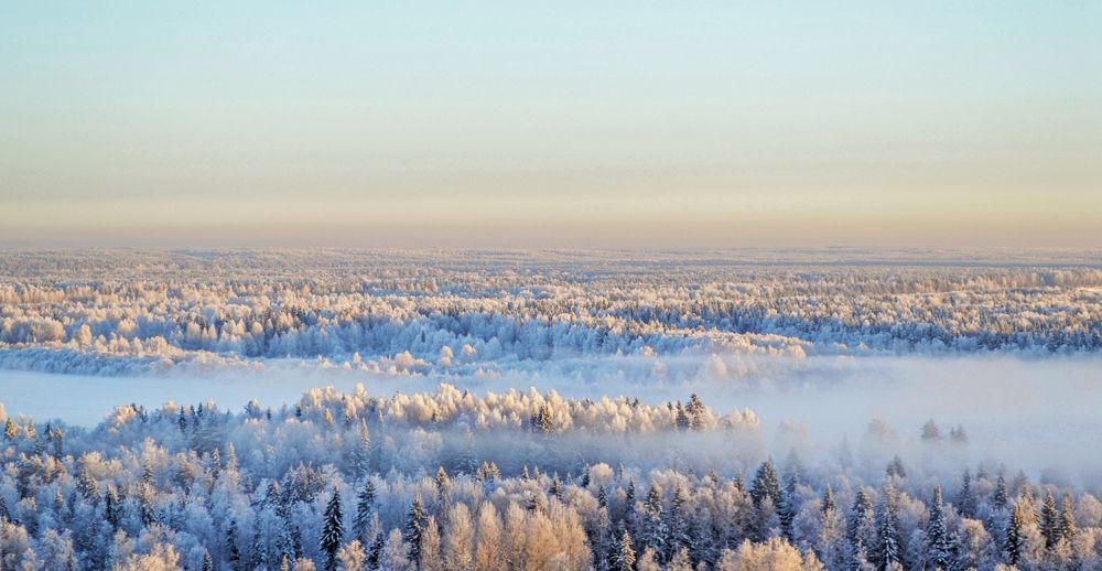 Photograph by Светлана Чебыкина