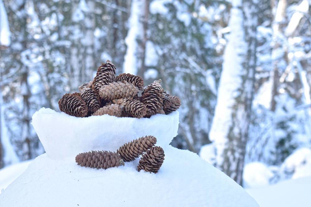 Photograph by Николай Чичерин