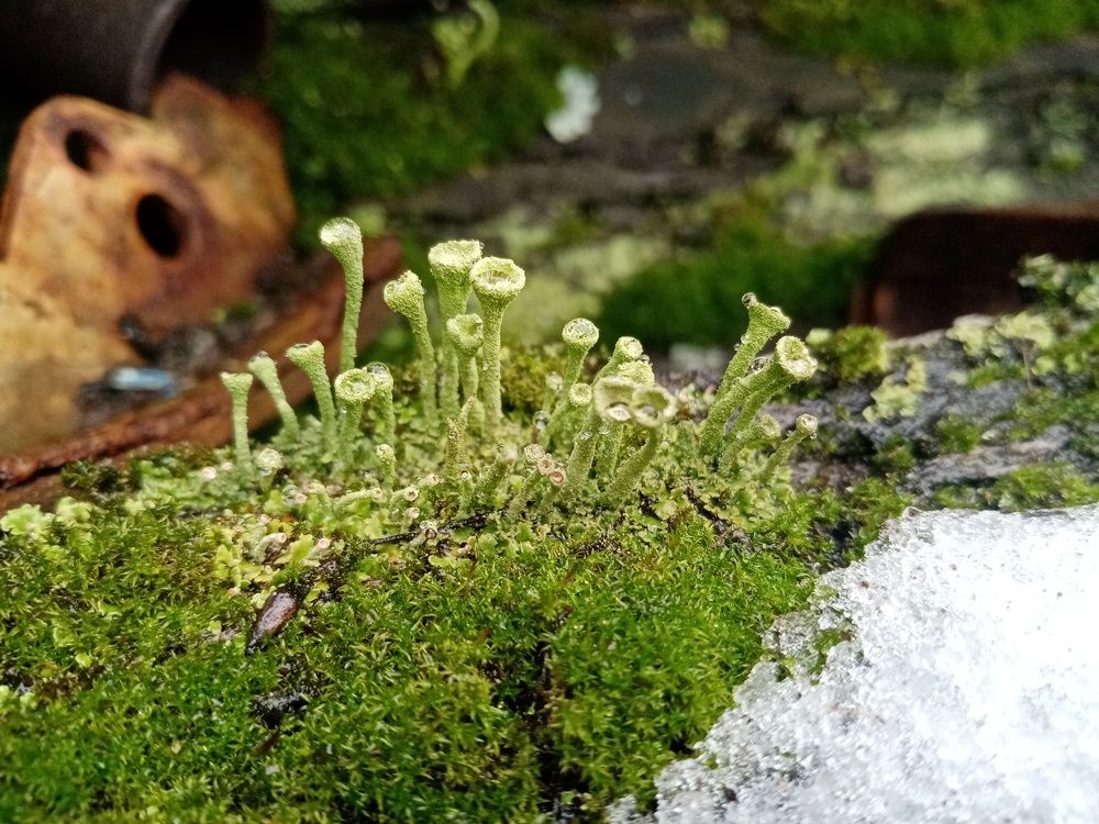 Photograph by Михаил Царикевич