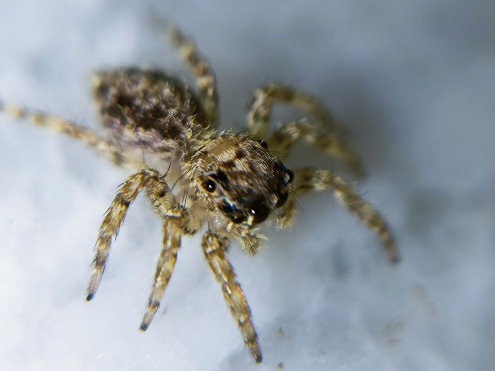 Photograph by Akshaya Dey