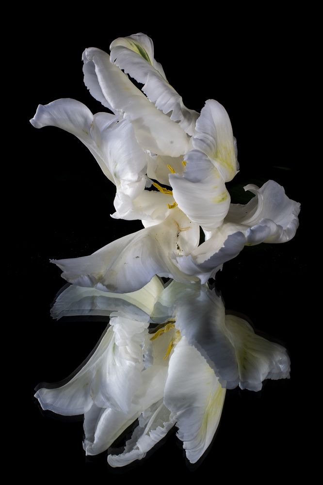 Photograph by Дмитрий Морозов
