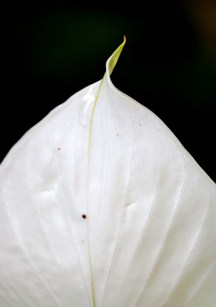 Фотография автора Aguiar Fernandes Kátia Maria