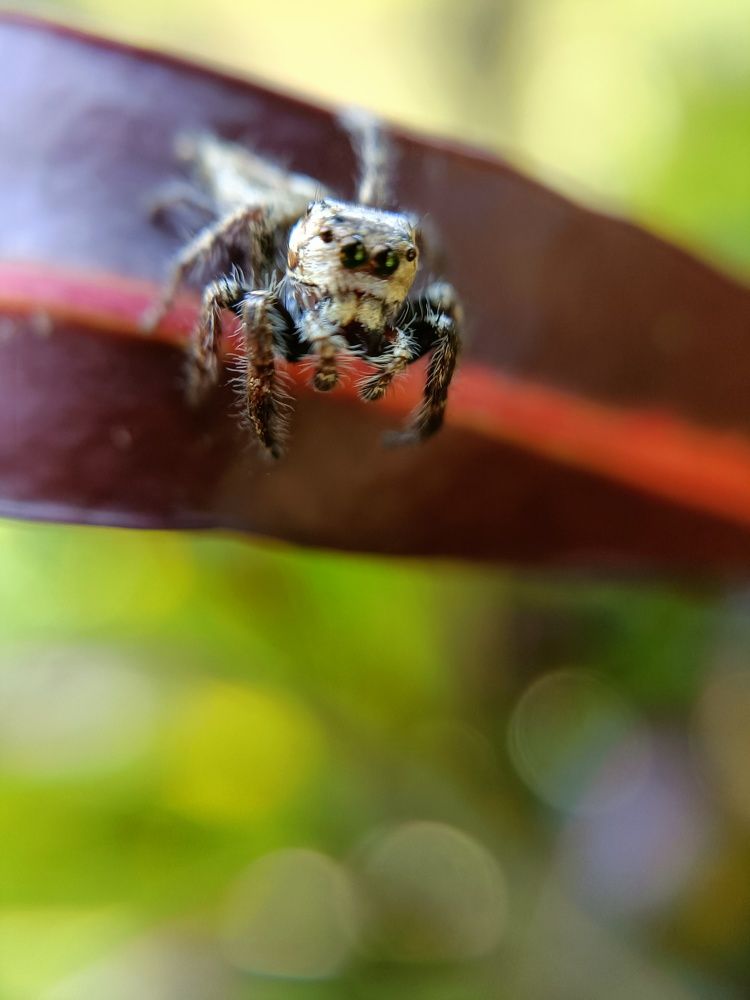 Photograph by Akshaya Dey