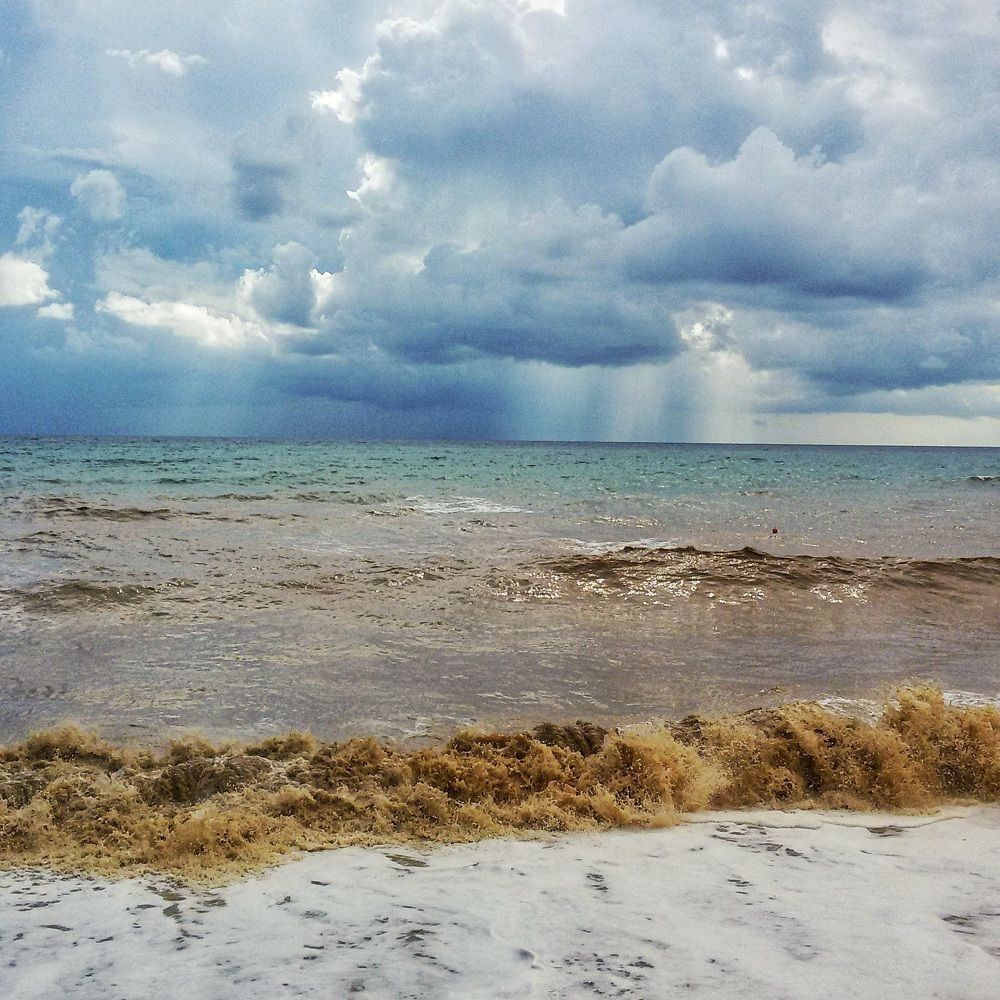 Photograph by Ольга Мартьянова