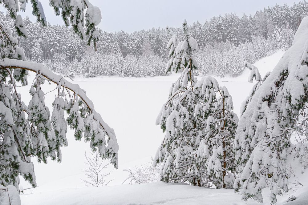 Photograph by Valdis Serzhans