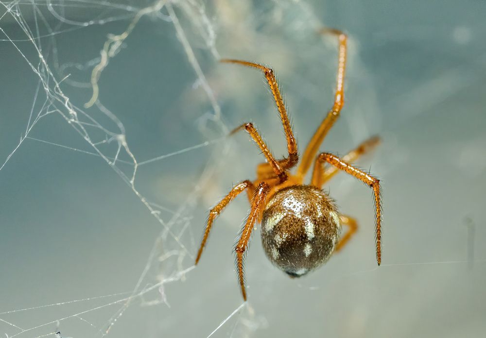 Photograph by Nitin Baste