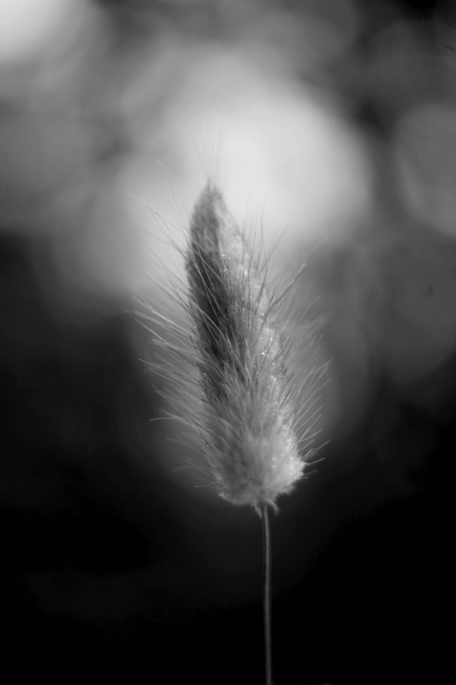 Photograph by Milla Luca