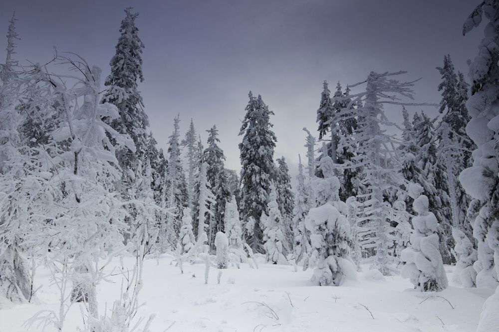 Photograph by Виктор