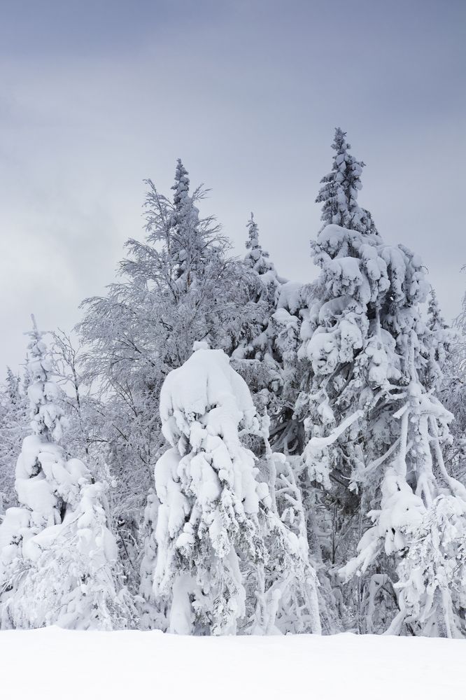 Photograph by Виктор