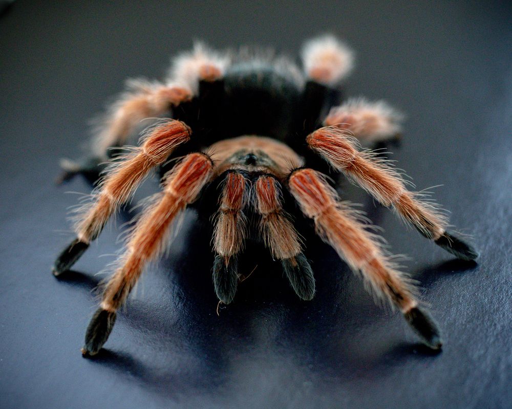 Photograph by Iryna Rybka