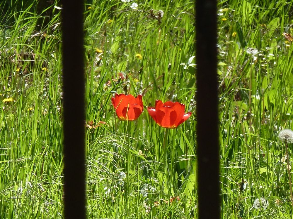 Photograph by оксана