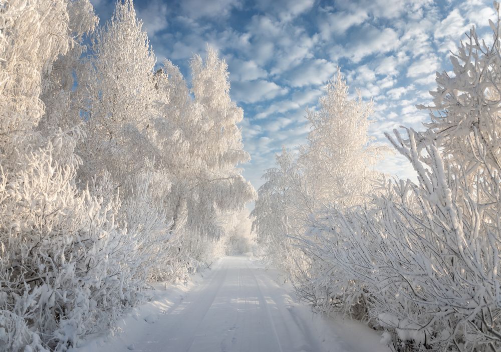 Photograph by Александр Рудный