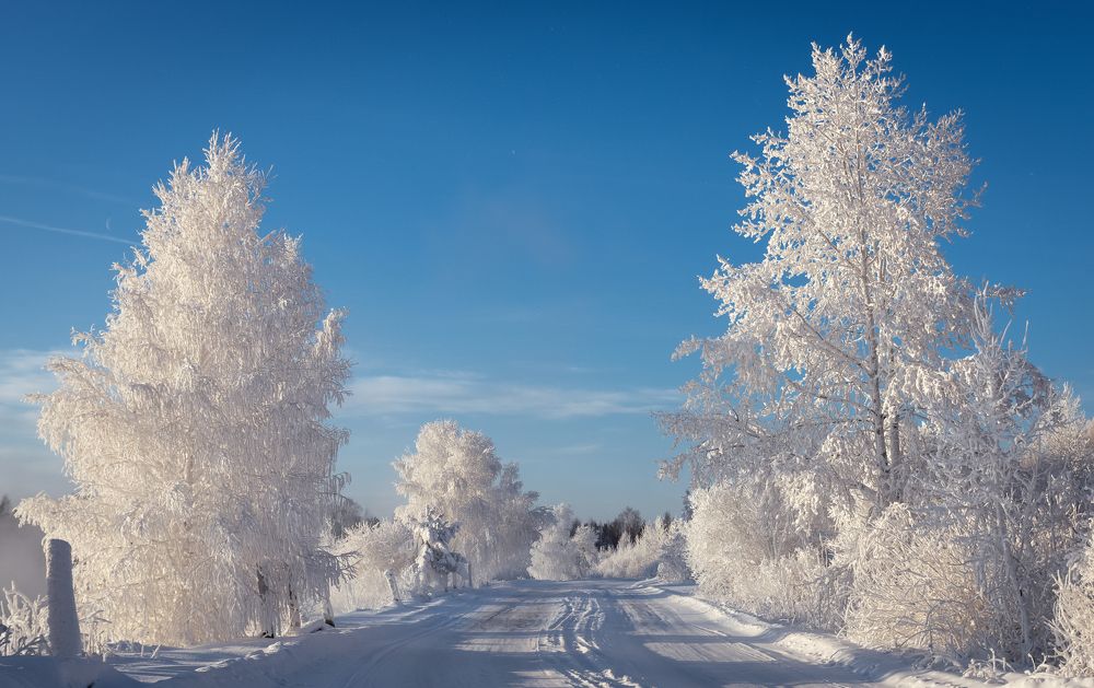 Фотография автора Александр Рудный