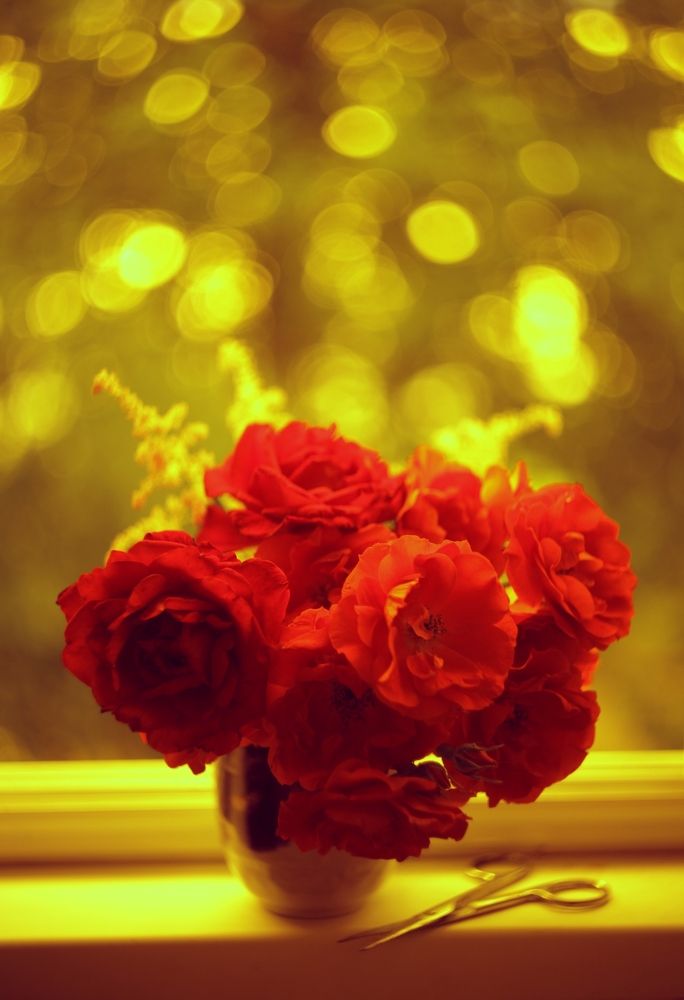 Photograph by Milla Luca