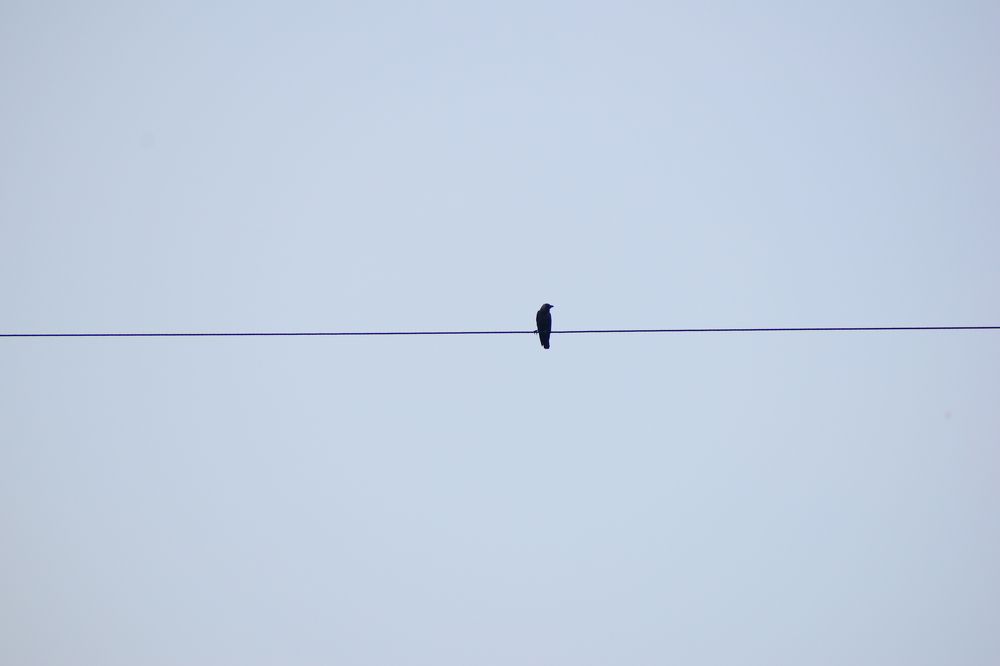 Photograph by Akshaya Dey