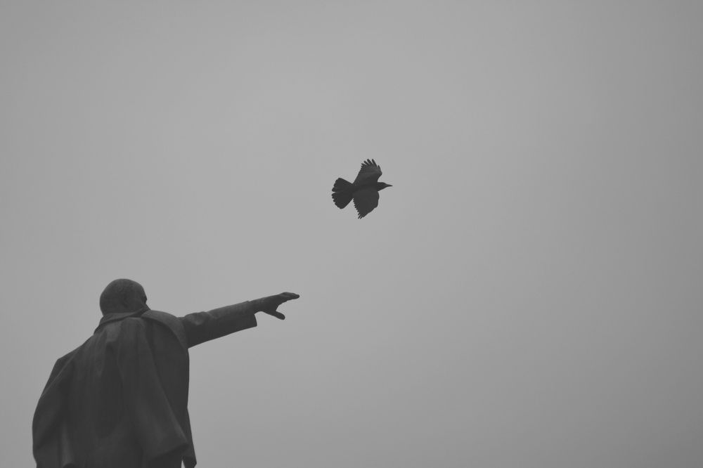 Photograph by Александр Лобынцев