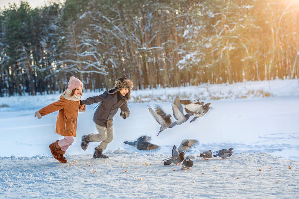 Первые цветы