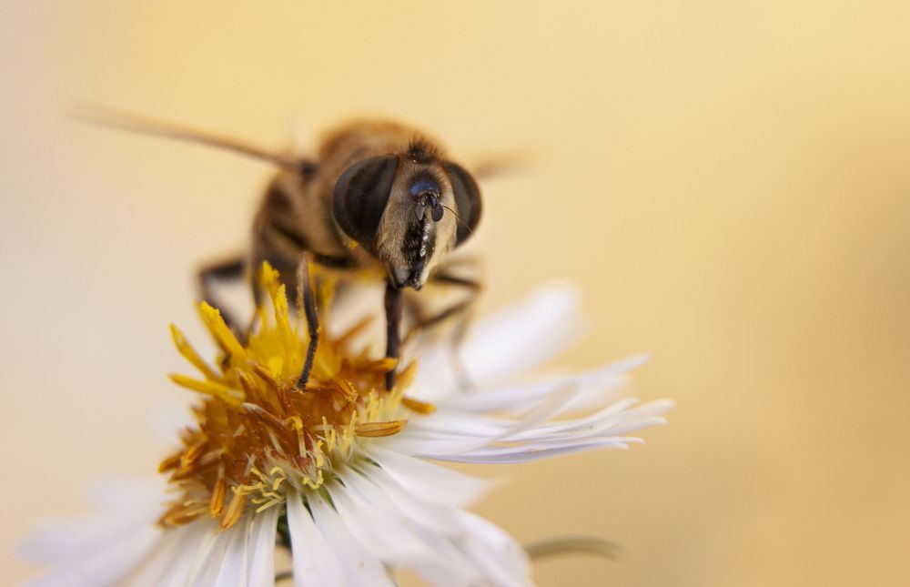 Photograph by luis peiteado