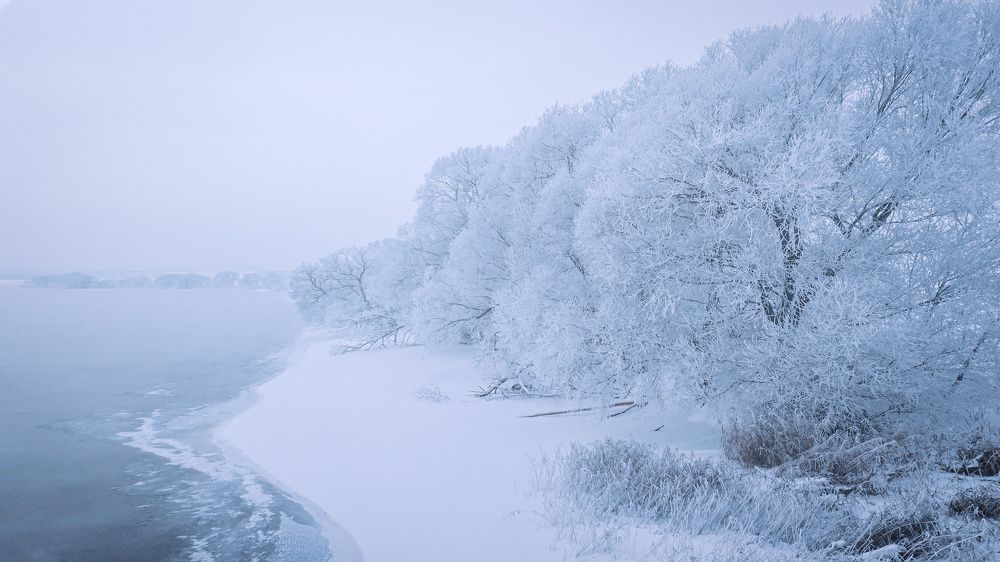 Photograph by Sergei Poletaev