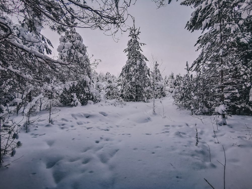 Photograph by Марина Копылова