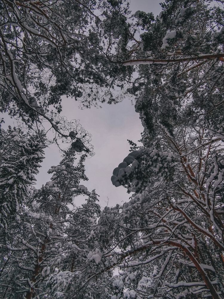 Photograph by Марина Копылова